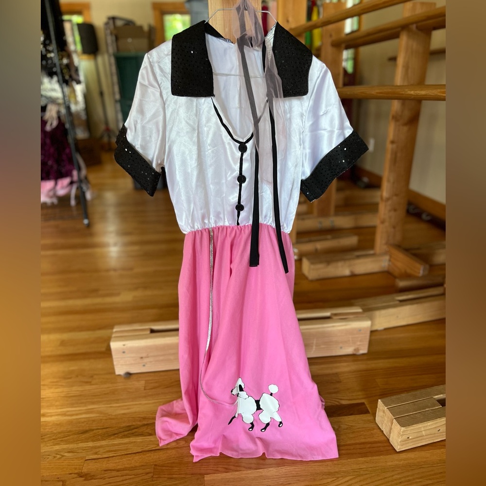 Poodle Skirt Dress
